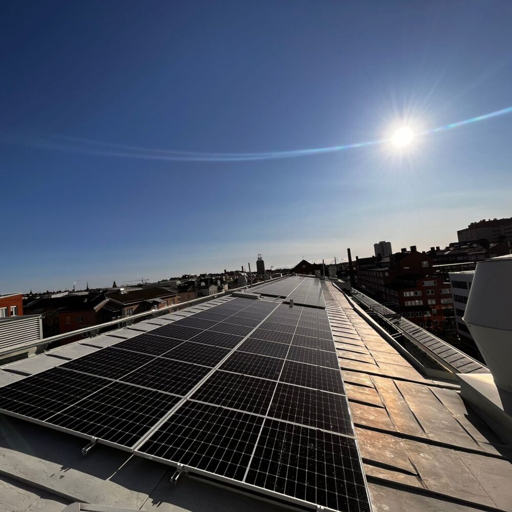 WhatsApp Image 2023-05-04 at 07.44.17